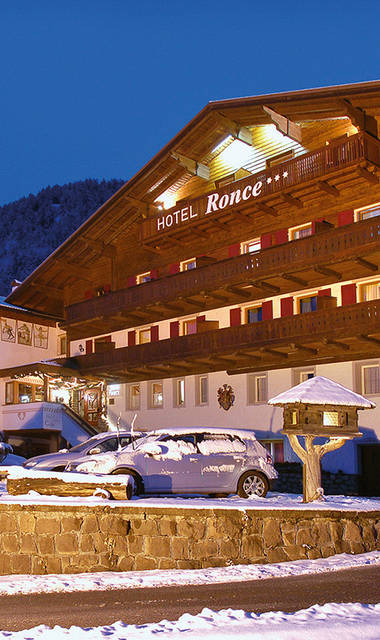 Hotel Ronce