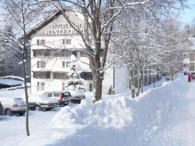Hotel Winterberg Resort