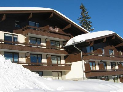 Almdorf Homes Königsleiten