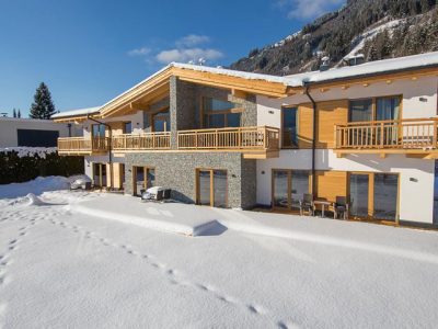 Apartments Zell am See-AreitXpress