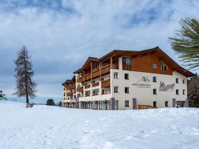 Hotel Steger – Dellai